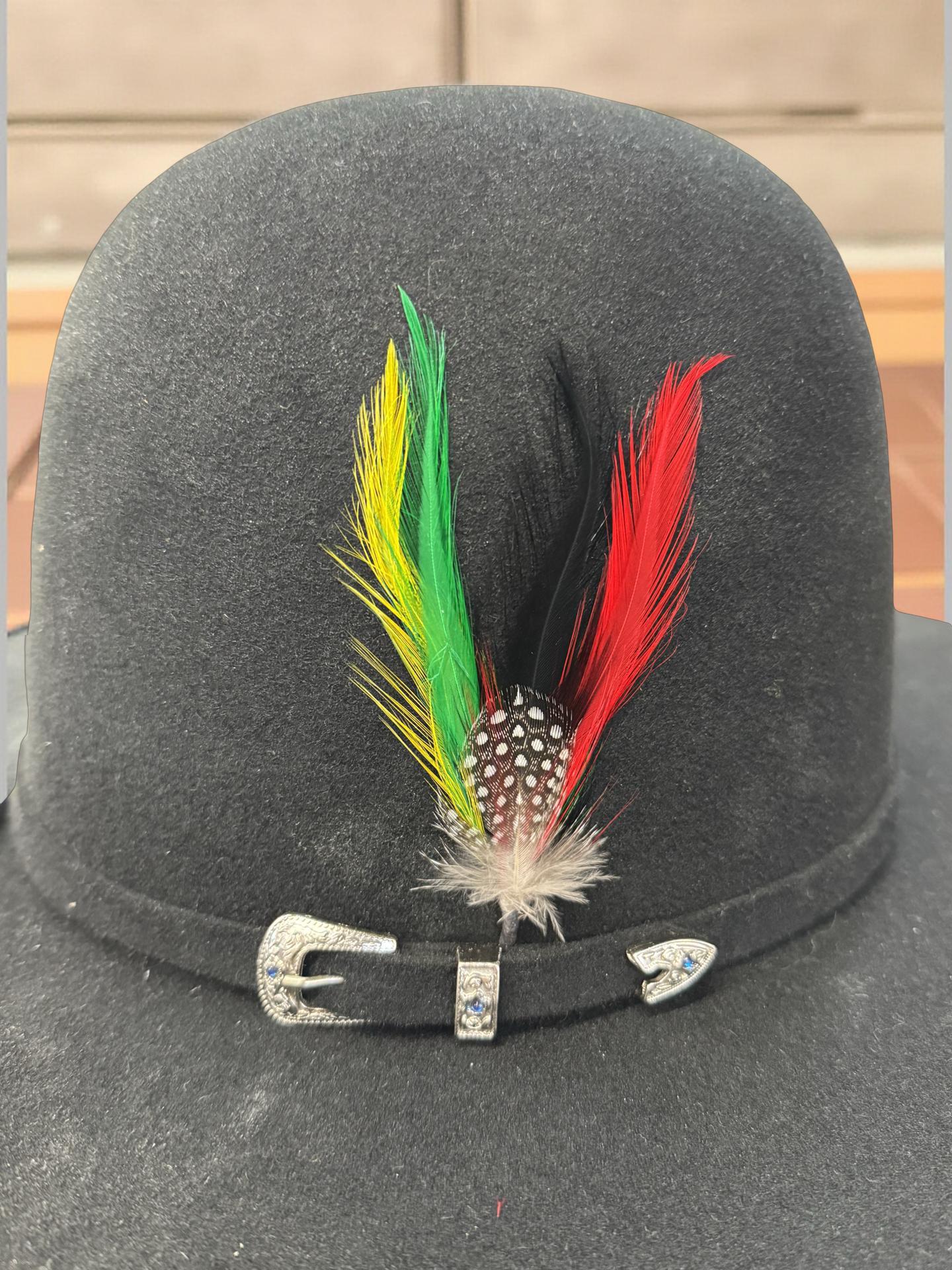 HAT FEATHER SINALOA