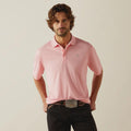 MENS ARIAT POLO SHIRT (10055252)