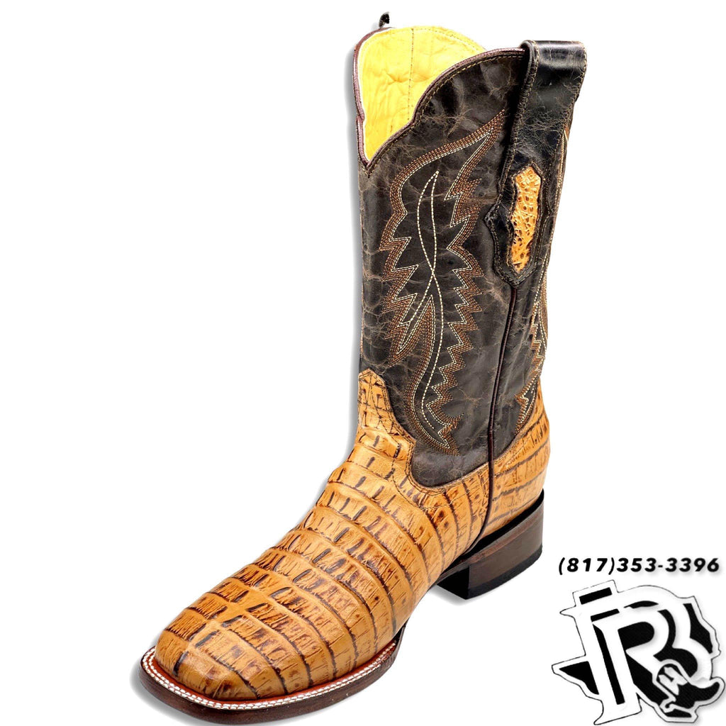 CAIMAN TAIL PRINT | HONEY RUSTIC FINISH SQUARE TOE BOOTS MOH347