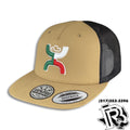 HOOEY MEN MEXICO FLAG | MEN SNAP BACK CAP