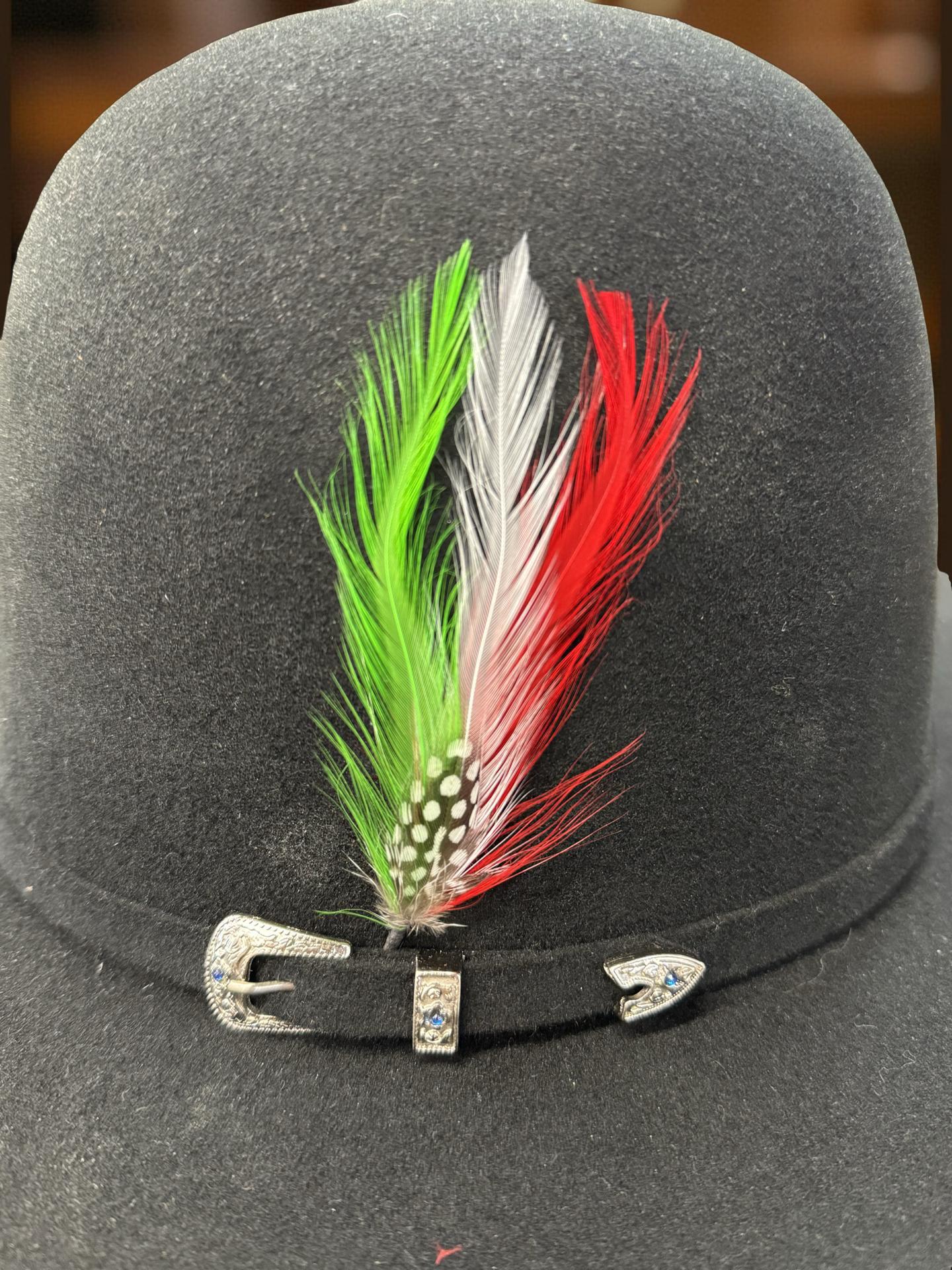HAT FEATHER SINALOA