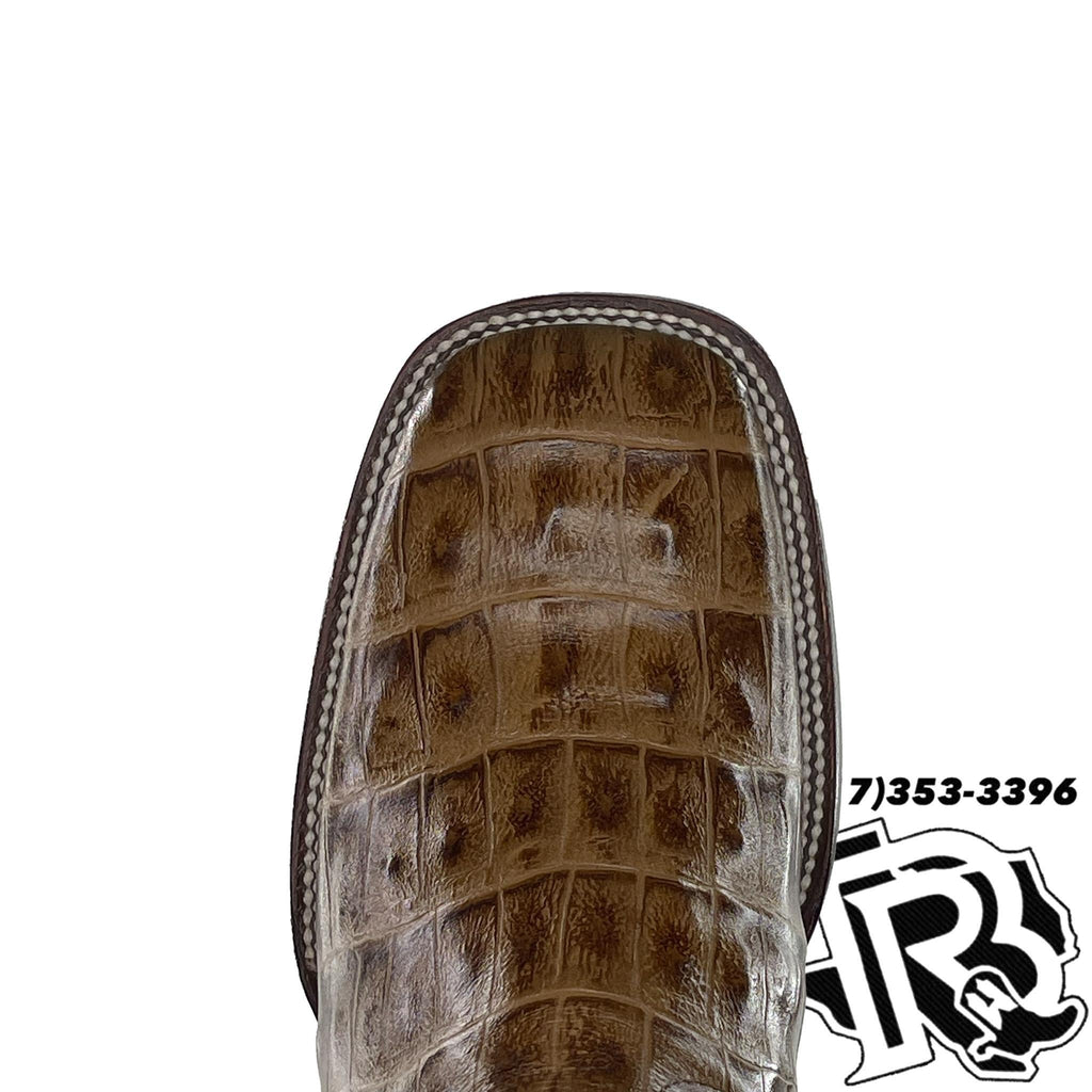 CAIMAN TAIL BELLY PRINT |  RUSTIC HONEY MEN SQUARE TOE BOOT MOH190