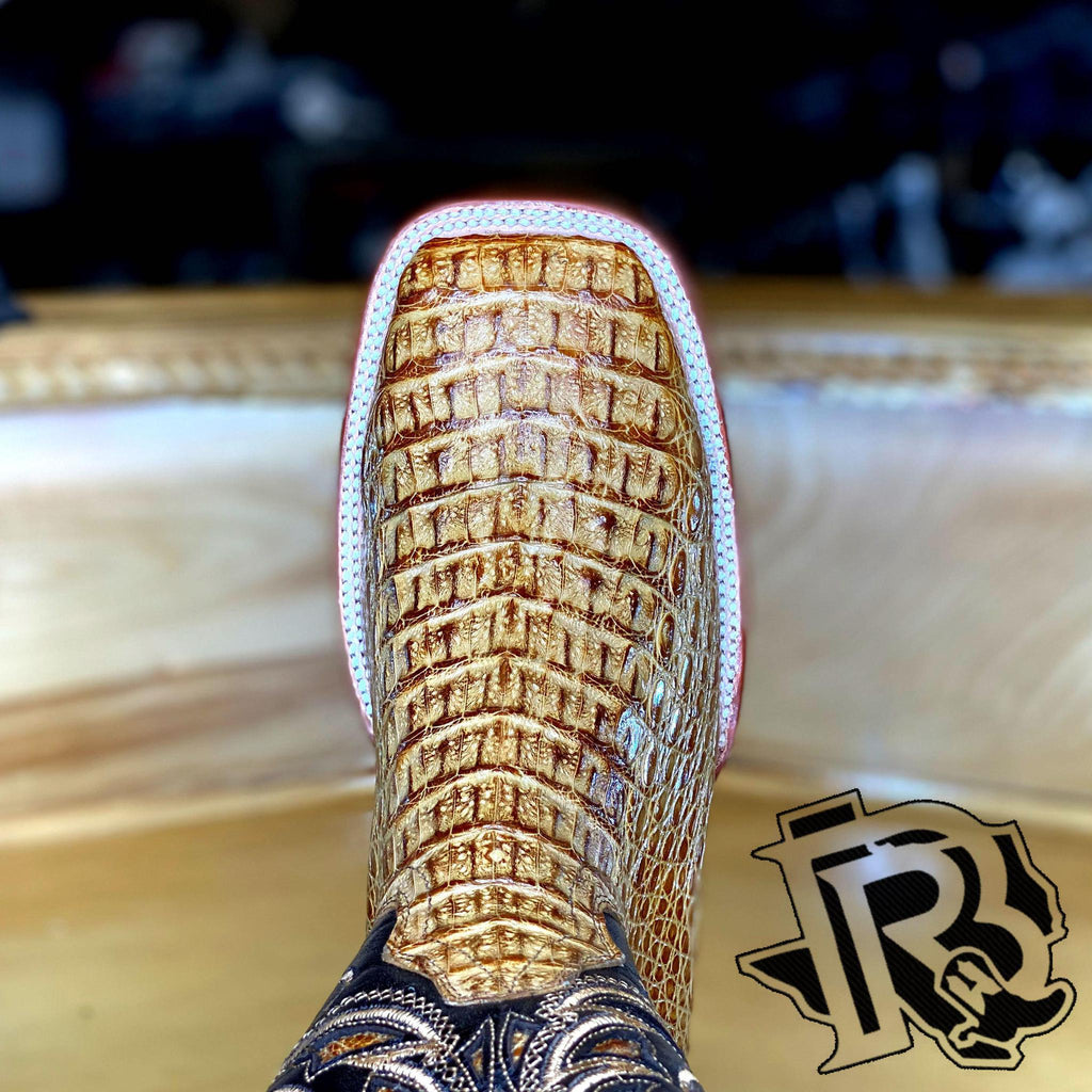 BR BOOTS : CAIMAN HORNBACK TAN SQUARE TOE BOOTS