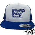 STEER EDITION | BR CAP ROYAL/WHITE/ROYAL