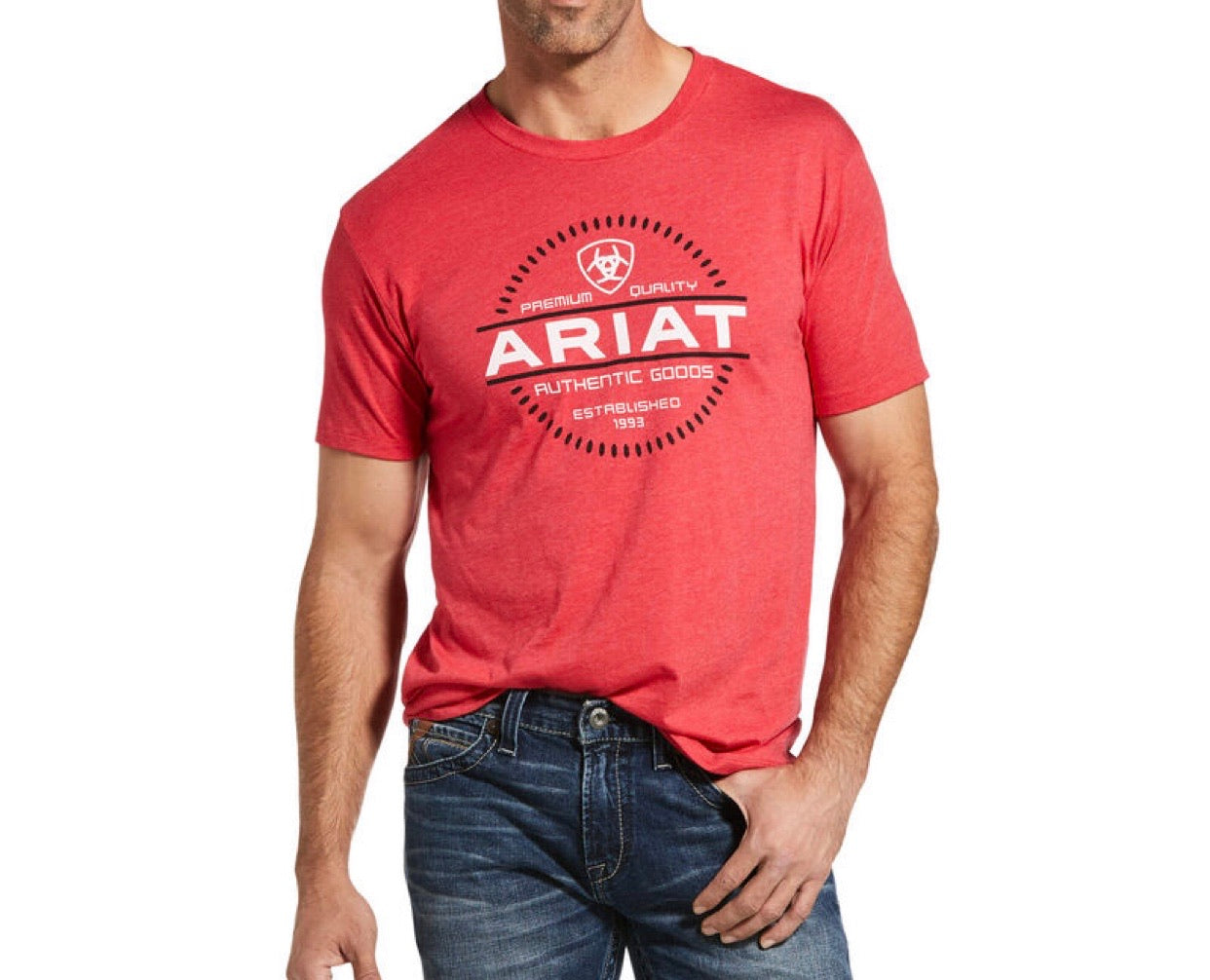 MEN'S ARIAT INCREMENTAL T-SHIRT (10033494)
