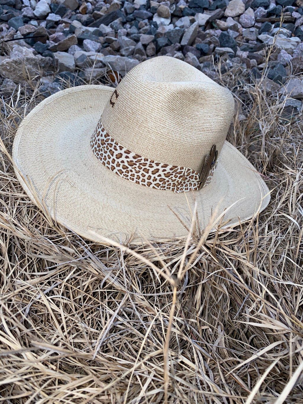 CHARLIE 1 HORSE HAT WILD THINGS